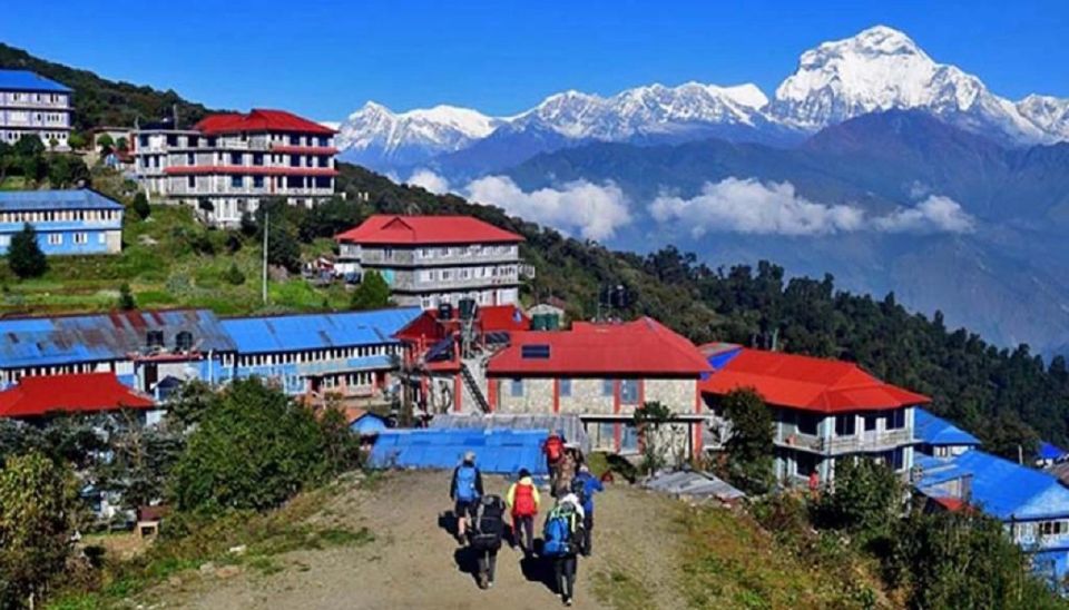 Scenic Adventure: 2-Day Private Poon Hill Trek From Pokhara - Day 2 Itinerary