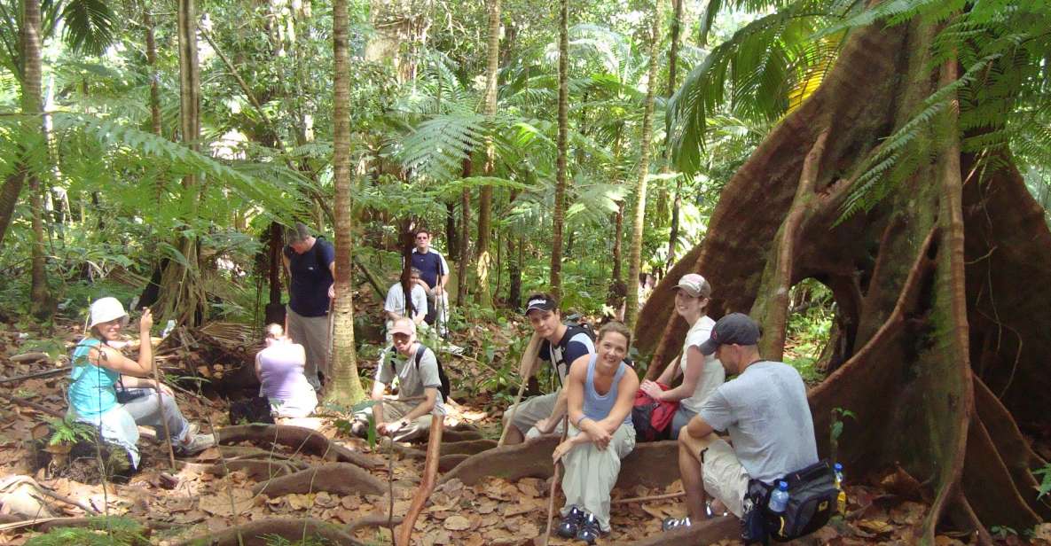 Scenic Rainforest Hike - Inclusions and Expert Guidance