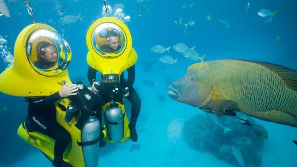 Scoba Doo Discover the Underwater Wonders of Punta Cana - Recommended Items