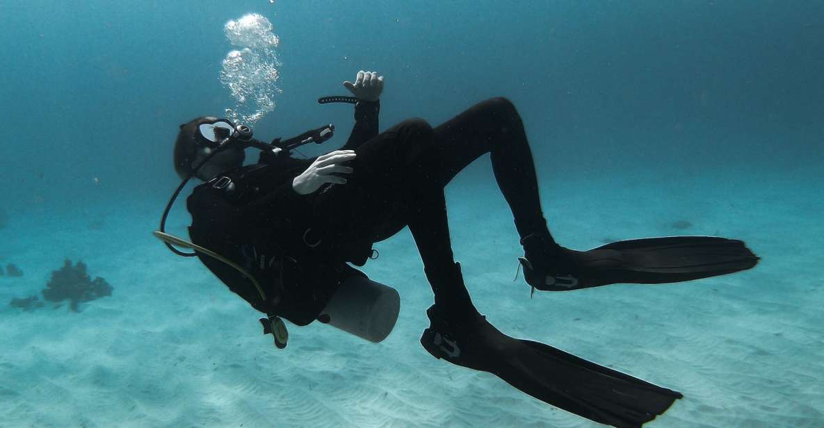 Scuba Diving in Kalpitiya - Experience Underwater