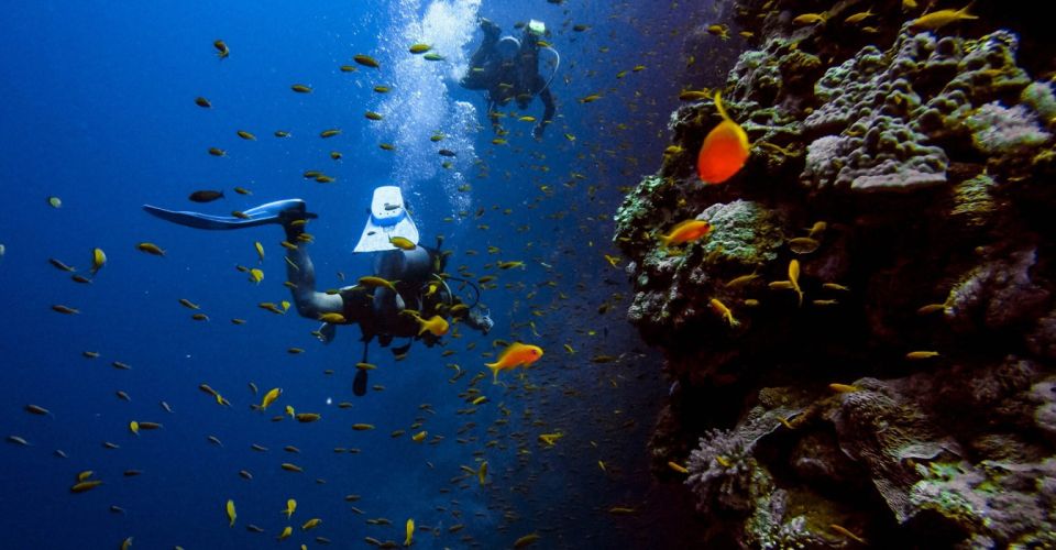 Scuba Diving Tour With Transfer From Alanya and City of Side - Additional Information