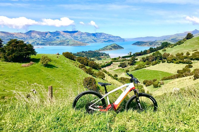 Sea to Summit- Electric Mountain Biking Tour in Akaroa - Last Words