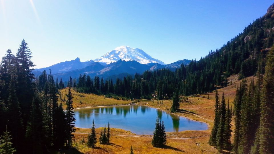 Seattle All-Inclusive: Hike Mt. Rainier and Wine Tasting - Customer Reviews