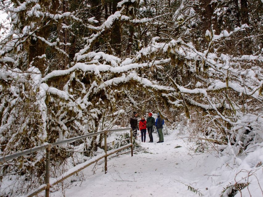 Seattle: Longmire in Mount Rainier Winter Day Tour - Tour Inclusions