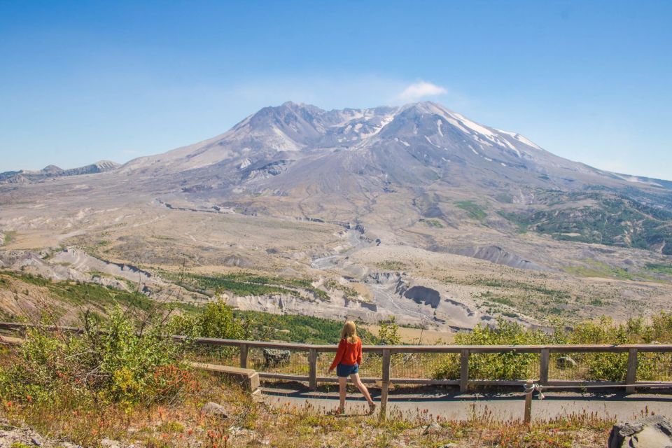 Seattle: Mt. St. Helens National Monument Small Group Tour - Customer Reviews