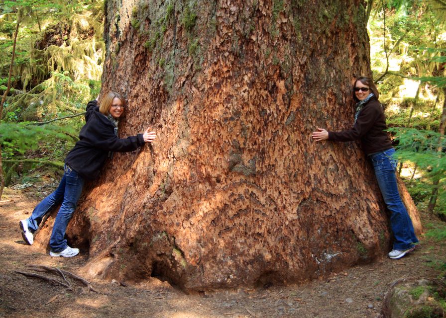 Seattle: Olympic National Park Small-Group Tour - Medical Concerns and Precautions