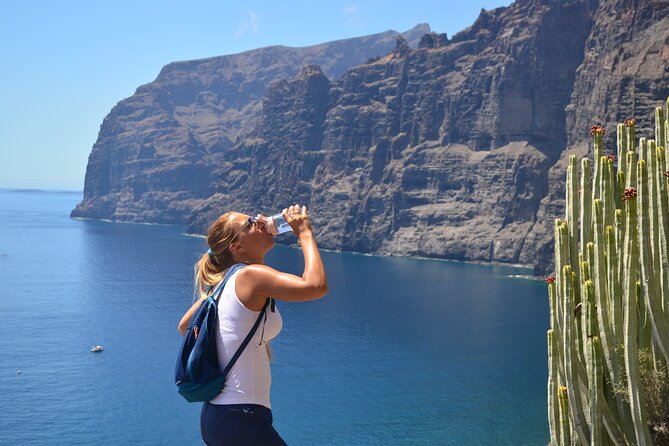 Secret Path Through Los Gigantes Cliffs Half-day Hike Tenerife - Traveler Assistance