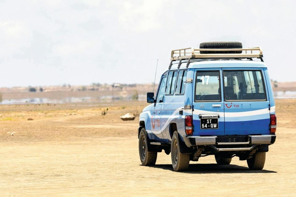 Secrets of Sal Island 4x4 Tour With Pedra Da Lume Salt Lake - Customer Reviews