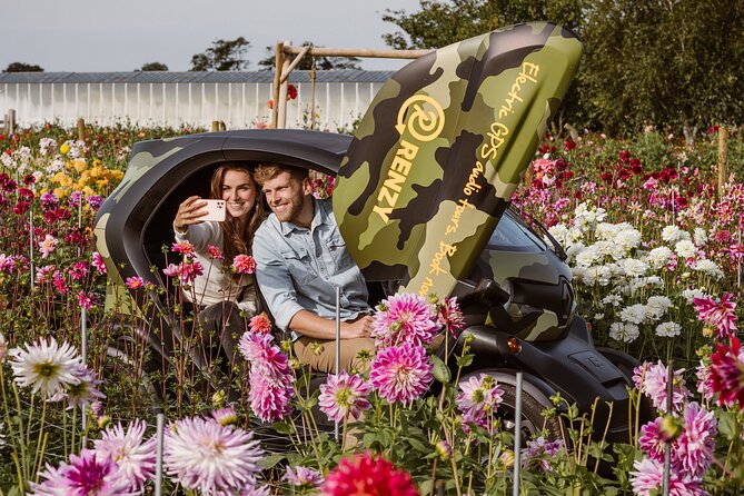 Self-Guided 3-Hour Tour by Electric Car, Flower Bulb Region  - South Holland - Additional Information