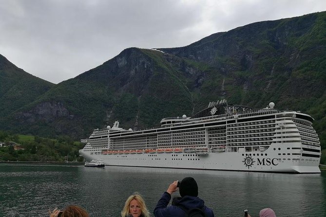 Self-Guided Day Tour - Premium Nærøyfjord Cruise & Flåm Railway - Questions and Help Center