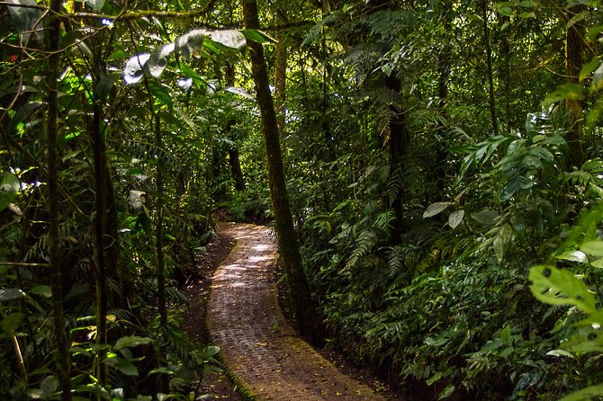 Selvatura Park Combo Tour From Monteverde - Recommendations and Tips