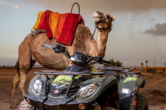 Sensational Quad and Camel Ride in the Palm Grove - General Information