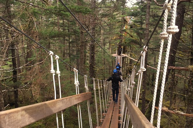 Seward Alaska Small-Group Ziplining Experience in Nature - Traveler Reviews Summary