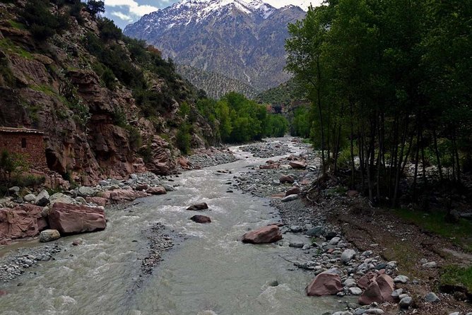 Shared Day Trip to Ourika Valley From Marrakech - Cancellation Policy