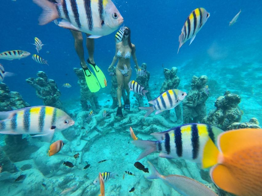 Sharing Snorkeling Starting Gili Air - Common questions