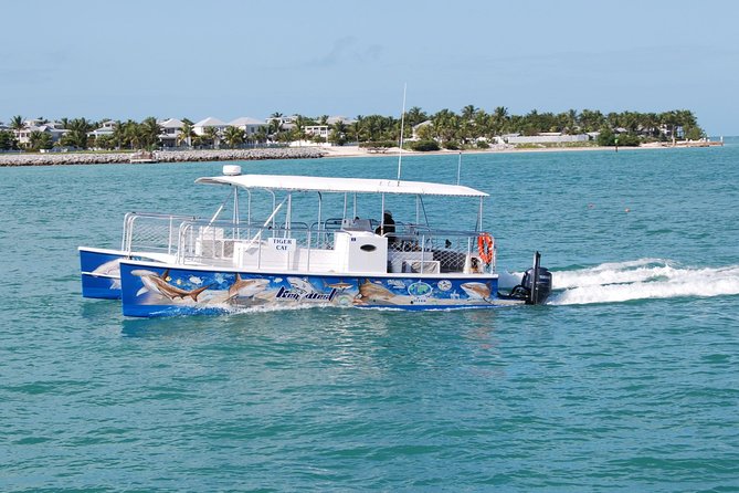 Shark and Wildlife Viewing Adventure in Key West - Customer Feedback on Crew and Experience