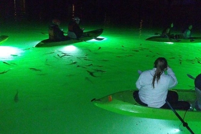 Sharkeys LED Illuminated Night Tour on Glass Bottom Kayaks in St. Pete Beach - Tour Itinerary and Stops