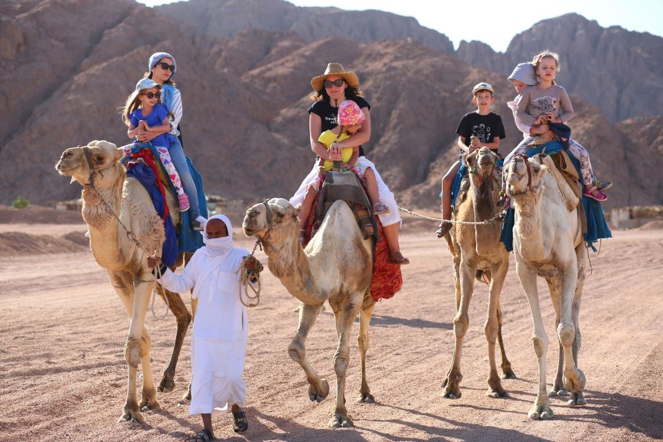 Sharm: ATV Safari, Horse Ride & Camel Ride With Breakfast - Full Adventure Description