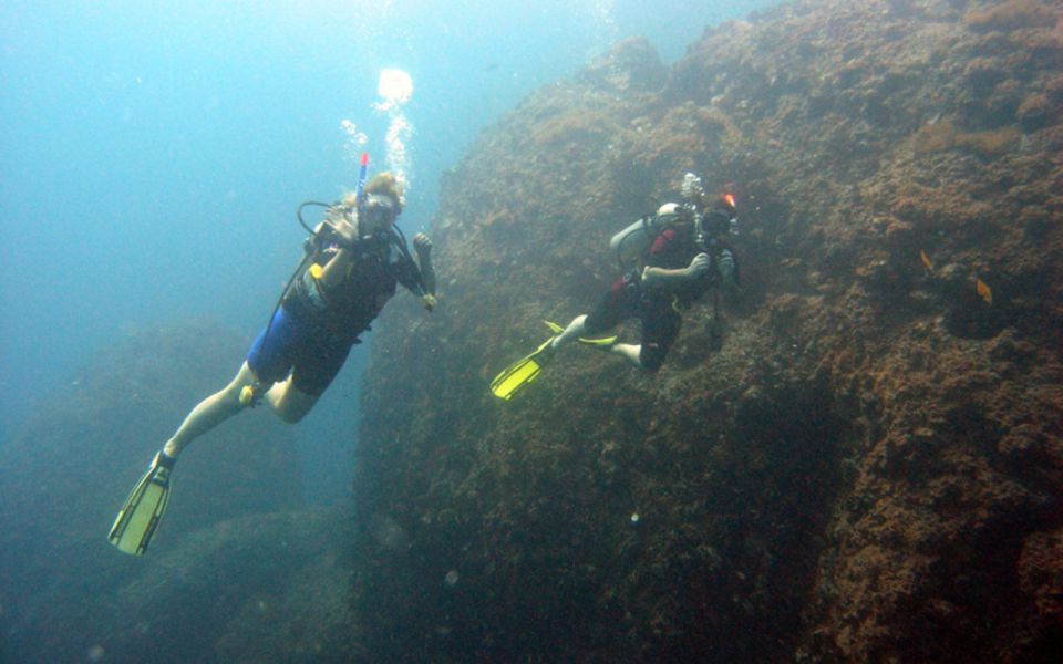 Sharm El-Sheikh: Guided Shore Scuba Diving at 2 Dives - Post-Dive Activities