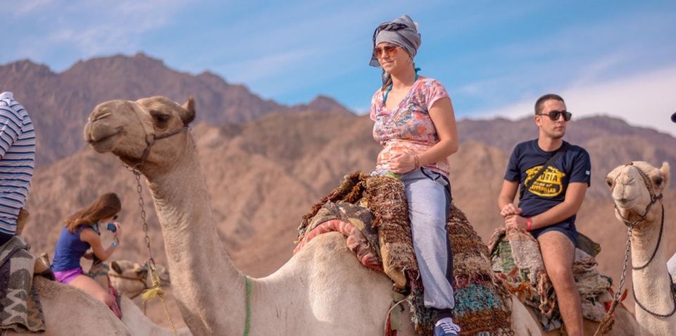 Sharm El Sheikh: Quad Bike, Safari, Camel With Dinner & Show - Customer Reviews