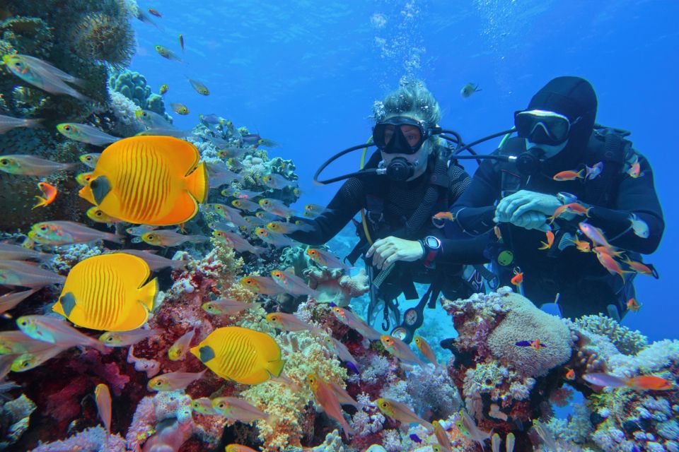 Sharm: Ras Mohamed Diving Boat Trip With Private Transfers - Booking Information