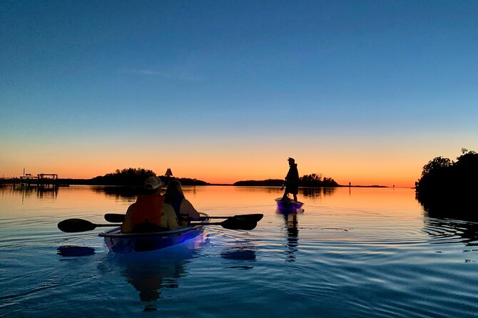 Shell Key Clear Kayak Glow in the Dark Tour - Viator Information