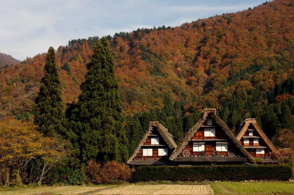 Shirakawa-Go From Nagoya One Day Bus Self-Guided Tour - Booking Information