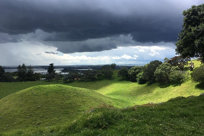 Shore Excursion: Half-Day Auckland Volcanoes Tour - Traveler Tips and Reviews