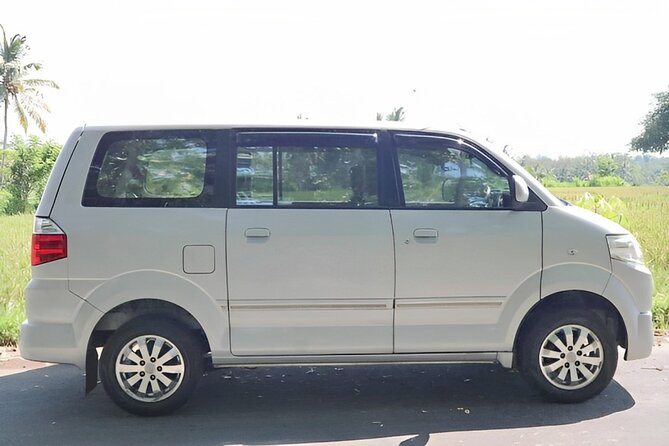 Shore Excursion: Private Bali Car Rental Service - Review Highlights