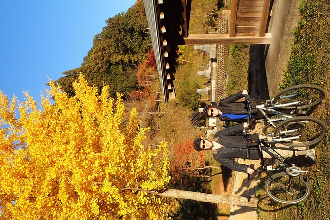 Short Morning Cycling Tour in Hida - Safety Guidelines and Recommendations