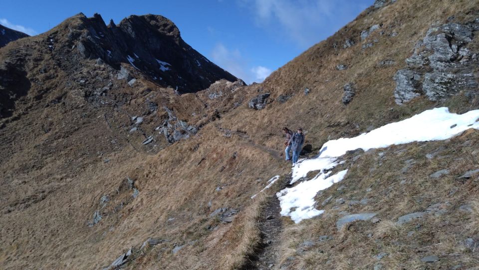 Sibiu: 1-Day Hiking Tour in the Carpathian Mountains - Logistics