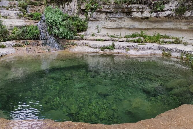 Sicilian Natural Parks, Trekking Eco Tour From the Sea to the Mountains - Ecological Importance