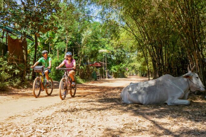 Siem Reap: 3-Day Guided Cycle Tour With Angkor Wat and Lunch - Local Guide Experience