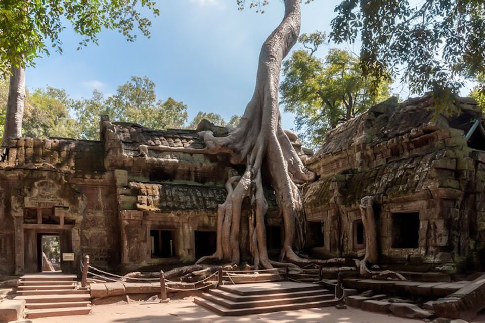 Siem Reap: Angkor Wat Sunrise and Full-Day Sightseeing Tour - Guide and Reviews