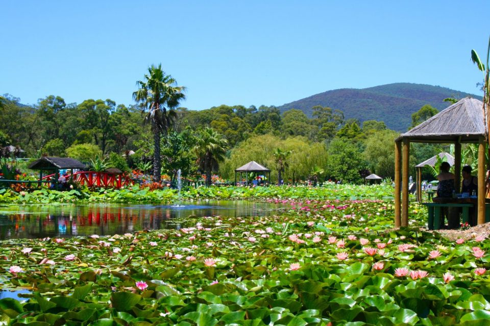 Siem Reap: Countryside With City Tour - by Tuktuk Only - Customer Reviews