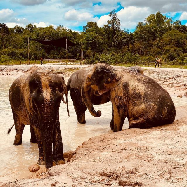 Siem Reap: Kulen Elephant Forest & Tonlesap Lake - Highlights