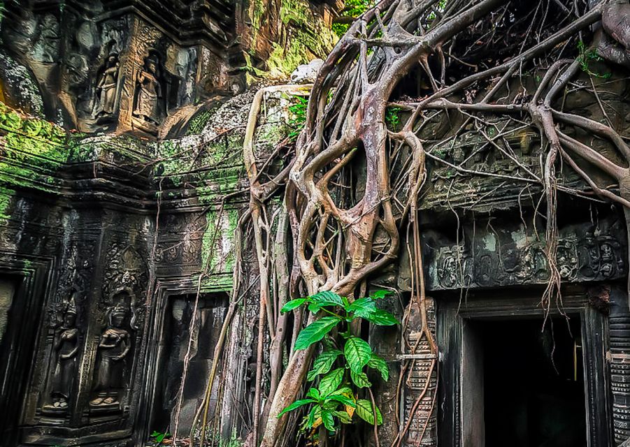 Siem Reap: Private Guided Day Trip to Angkor Wat With Sunset - Pricing and Reviews