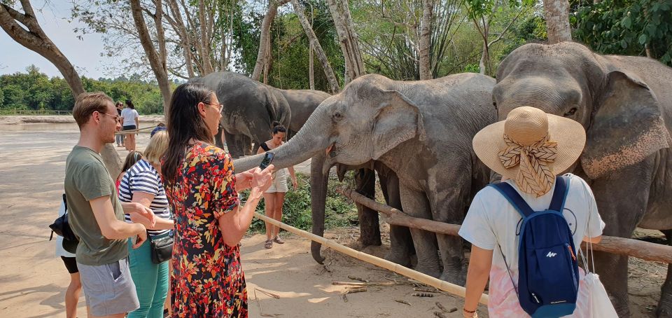 Siem Reap: Small Group Tour of Kulen Elephant Forest - Transportation Logistics