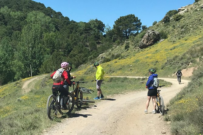 Sierra Nevada Ebike Tour Small Group - Booking Details