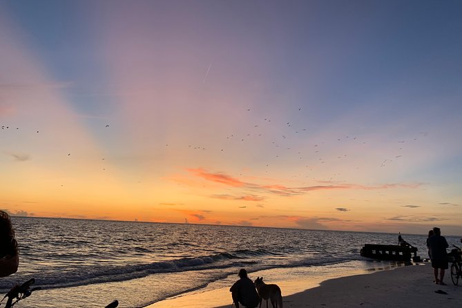 Siesta Key Electric Bike Sunset Tour - Traveler Experience