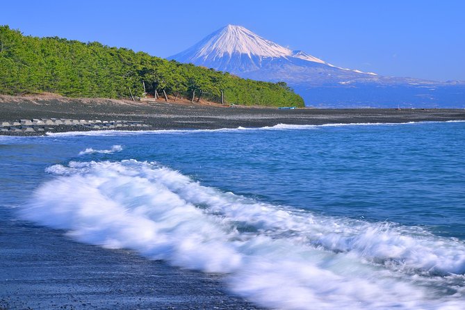 Sightseeing Around Shimizu Port for Cruise Ship Passengers - Tips for a Memorable Visit