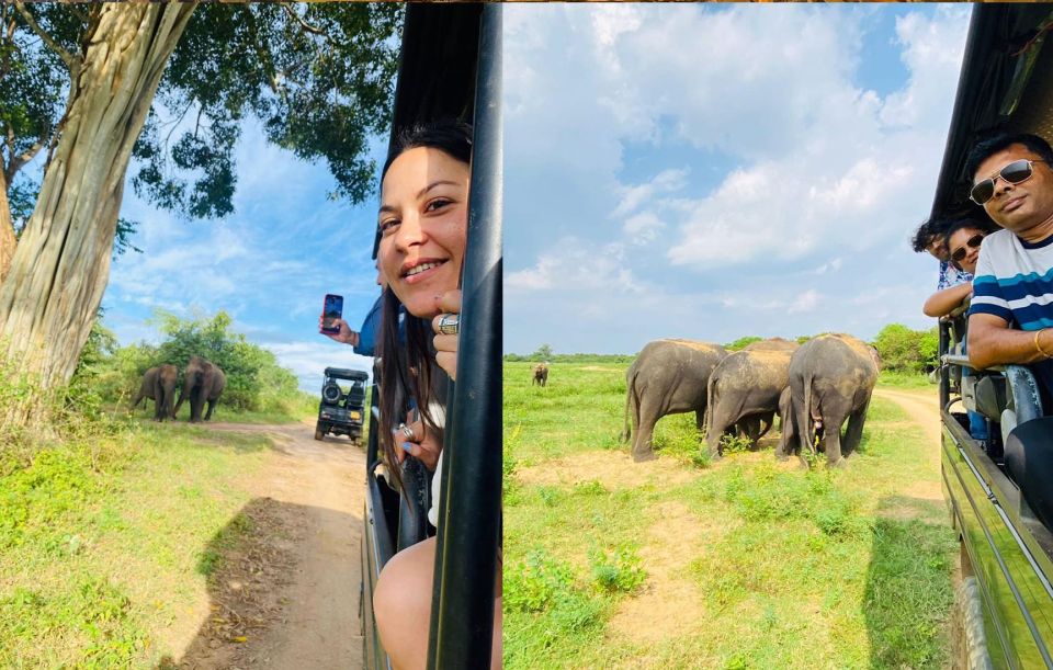 Sigiriya and Minneriya National Park Day Tour From Negombo - Tour Experience