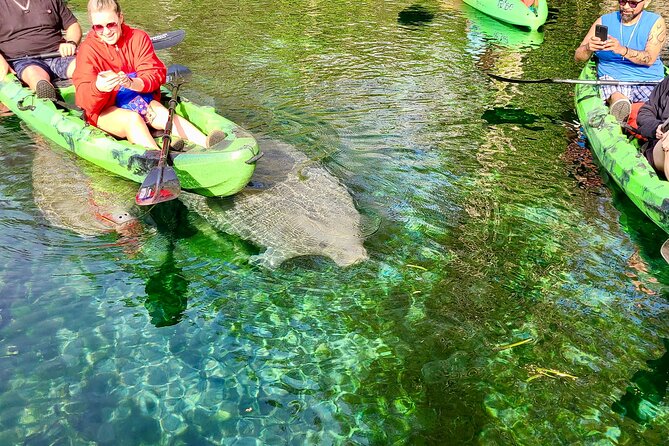 Silver Springs Clear Kayak Or Paddle Board Wildlife Tour (Mar ) - Cancellation and Refund Policy