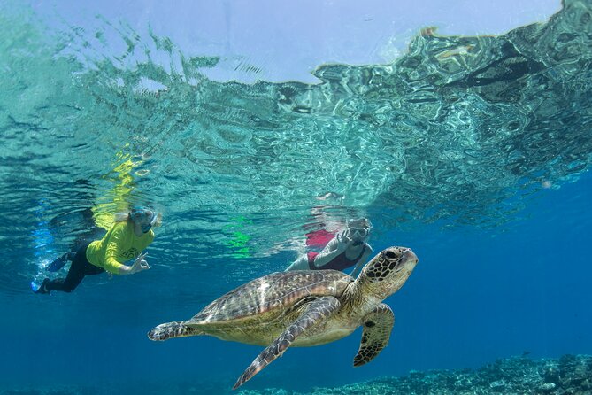 Silverswift Dive & Snorkel Great Barrier Reef Cruise From Cairns - Safety and Equipment Standards