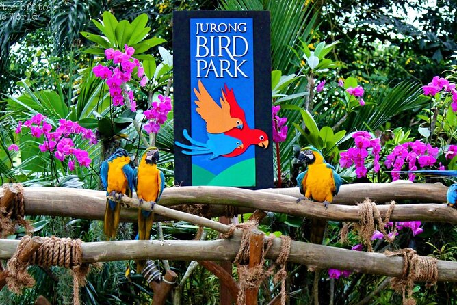 Singapore Bird Paradise & Zoo Full Day (Ticket & Transfer ) - Viator Traveler Feedback