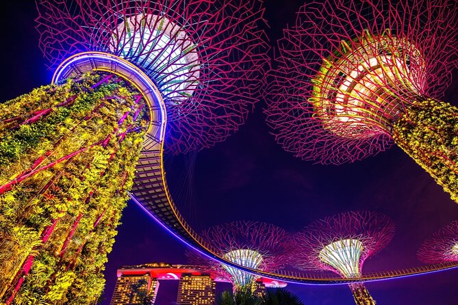 Singapore Gardens by the Bay Admission Skip-The-Line E-Ticket - Important Visitor Guidelines