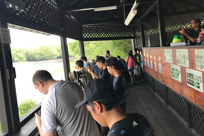 Singapore Private Sungei Buloh Wetland Reserve Tour - Pricing and Booking Details