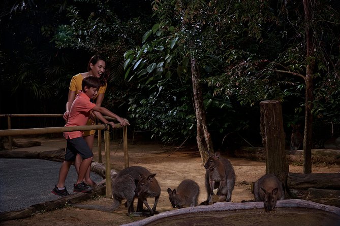 Singapore Zoo Night Safari Walk, Tram With Dinner Option - Traveler Experience and Reviews