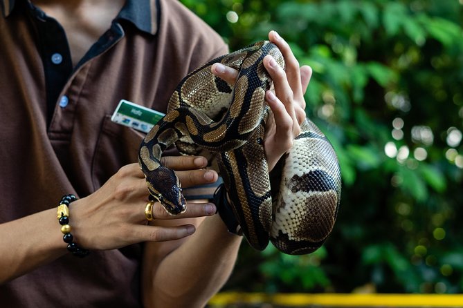 Singapore Zoo With Transfer, Breakfast With Orangutans Option - Customer Feedback