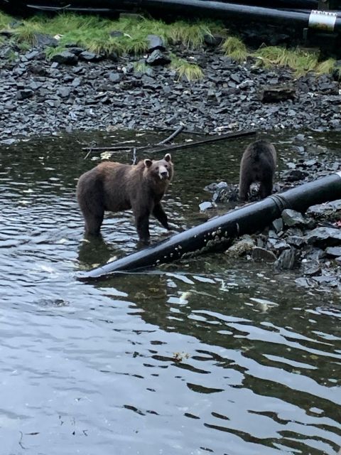 Sitka: Whale Watching, Kyaking, Hot Springs, Nature Tours - Boat Amenities and Inclusions